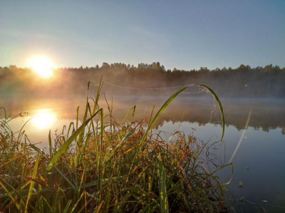 Оно было странным: климатические итоги лета 2022 года